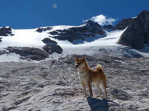 范氏方程无解，西甲国家德比之夜的战术谜题