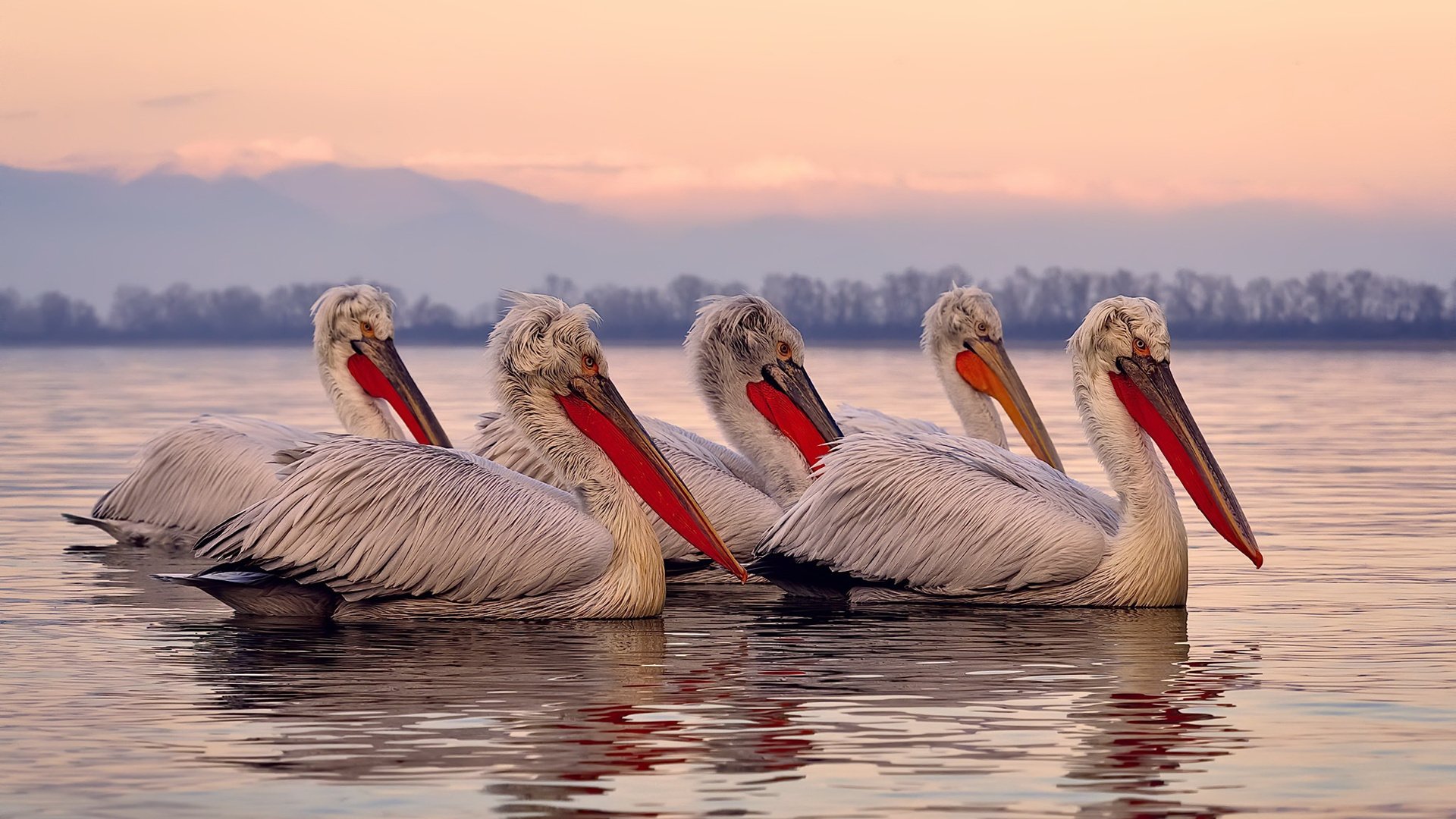 救赎与奇迹，在足球的绿茵场上，历史将沉默与荣光同时刻写