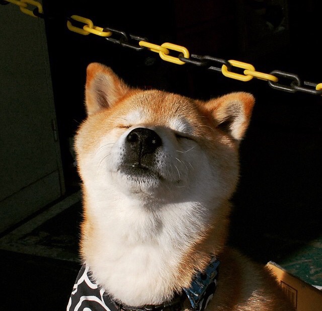 加时赛鏖战，哥斯达黎加险胜克罗地亚；阿什拉夫闪耀，攻防转换定乾坤