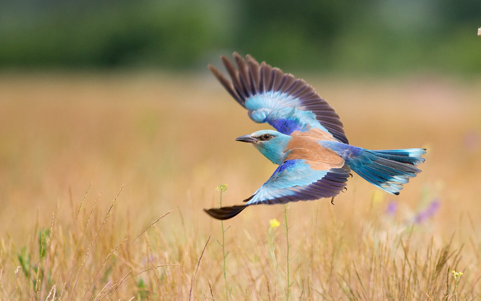 陨落的流星与转动的磨盘，当火箭的狂飙被步行者的节奏切割