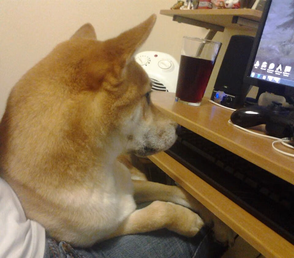 数据炸弹引爆悬念之夜,德里赫特全维爆发,委内瑞拉提前终结,毕尔巴鄂的启示