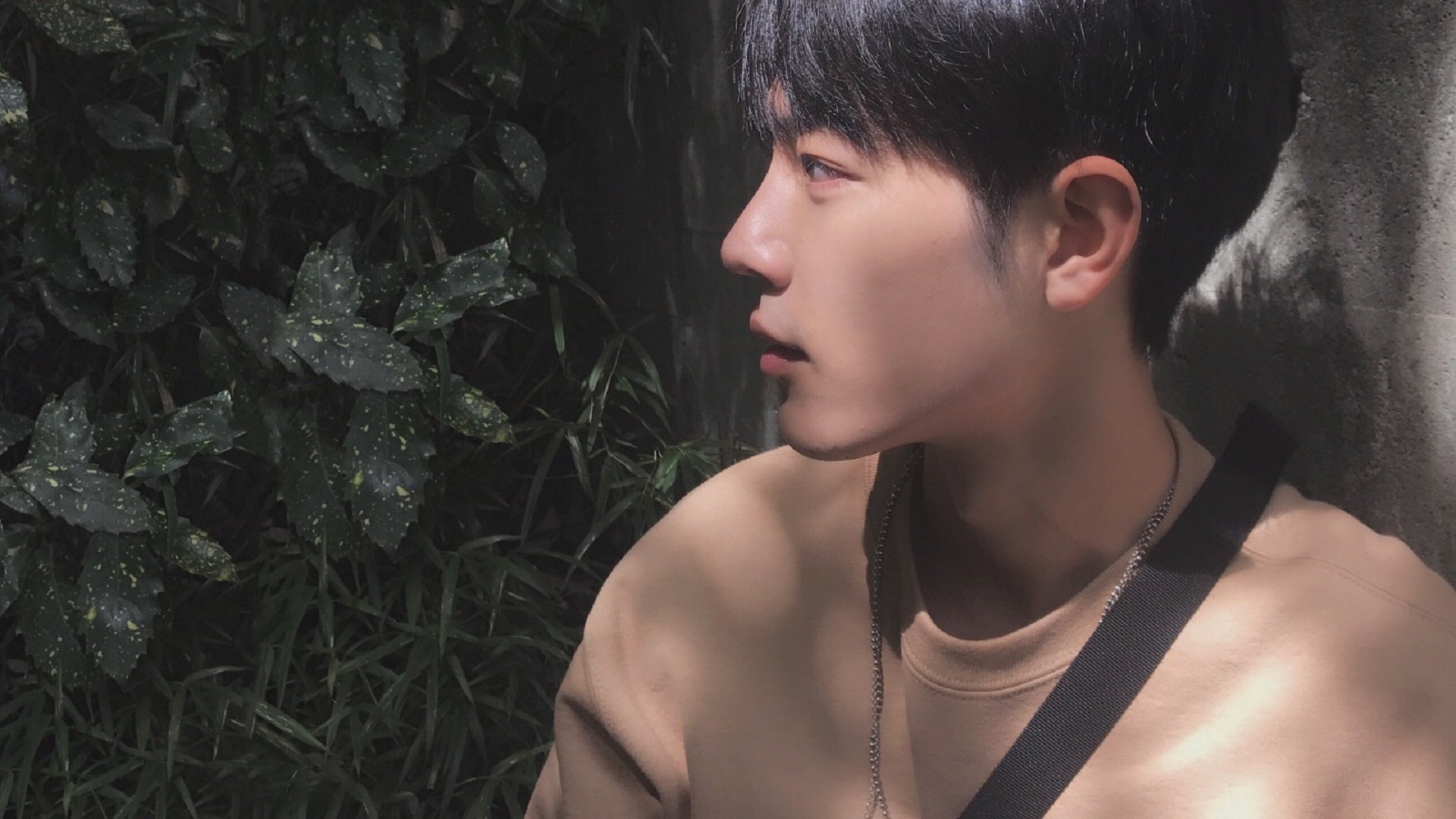 开云体育登录-克瓦拉茨赫利亚赛后评分拉满的夜晚，安哥拉用一场草根革命带走AC米兰