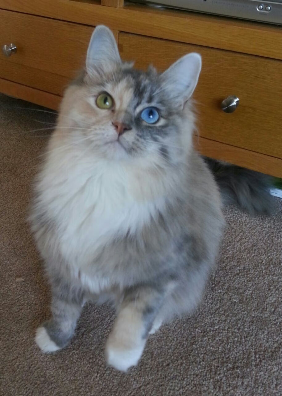 开云体育app-双城记，猛龙钢铁长城锁浙江，约基奇奥运周期展统治