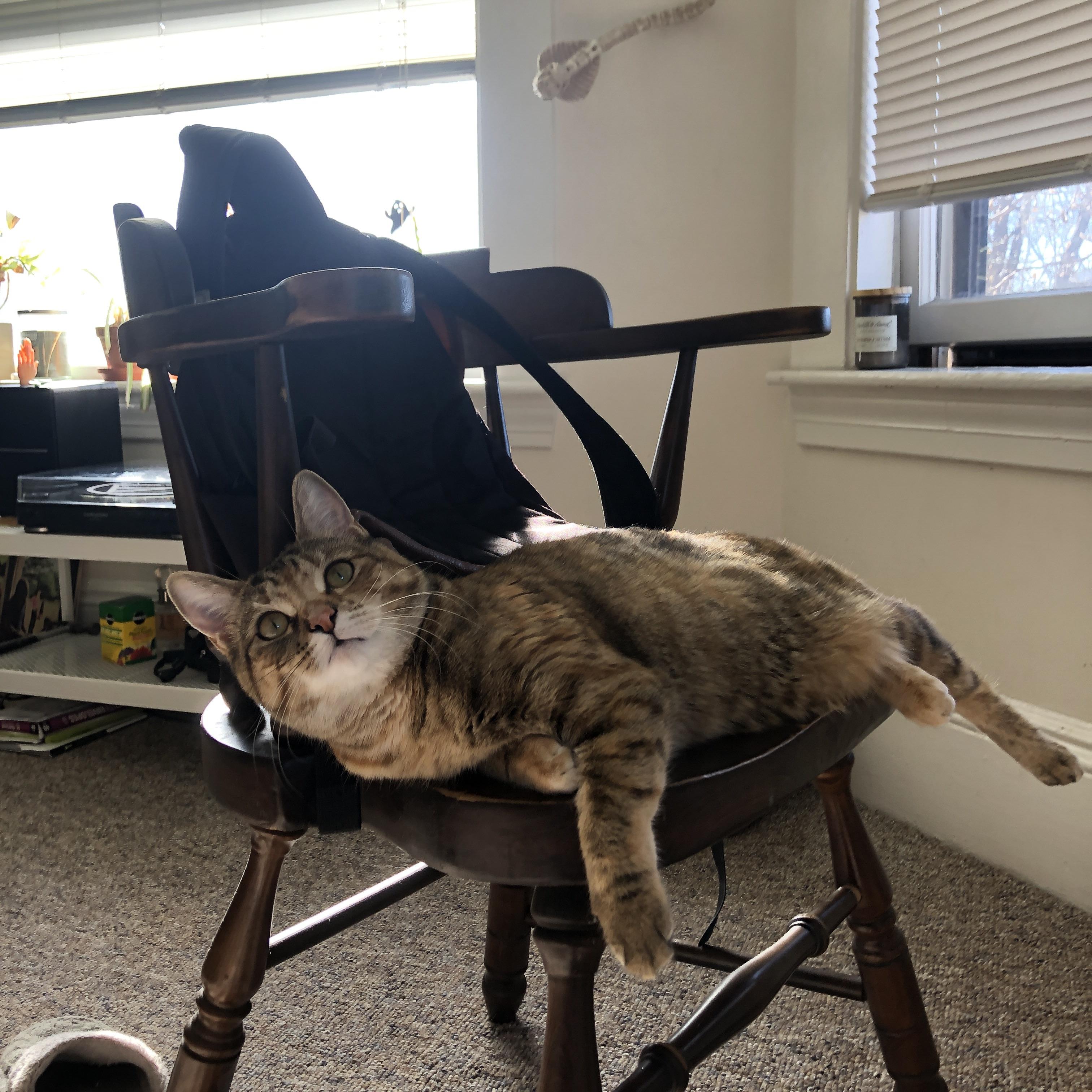 尼日利亚完胜阿森纳，阿坎吉的关键先生表现引领胜利