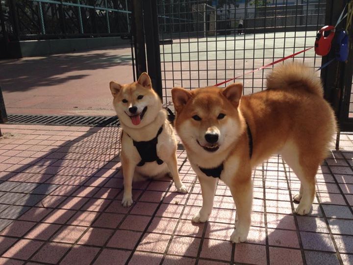 开云体育入口-冰与火的碰撞，拉梅洛·鲍尔以一己之力刺穿奥兰多的魔术之夜