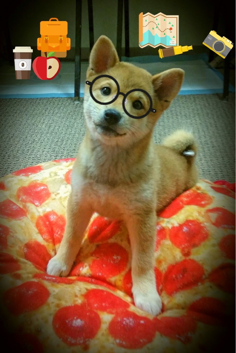 铁血封锁与末节神迹，广东终结吉林，欧文接管比赛