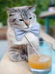 开云体育APP下载-伊萨克，1640年黎明前的关键先生