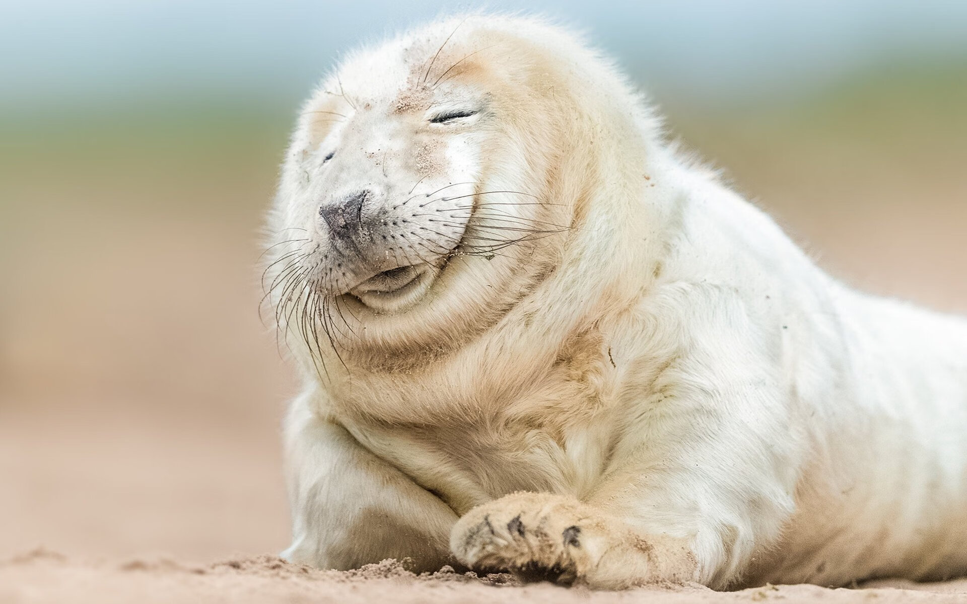 夜焰燃穹,布克世界排名战轰下统治级数据,太阳重燃争冠曙光