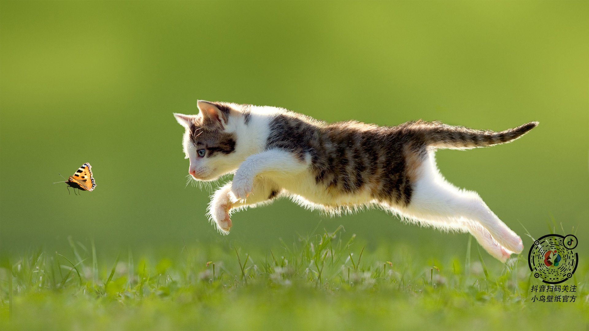 沙漠逆袭与晨星升起，当旧秩序松动，新力量开始接管比赛