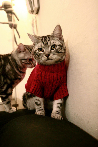 融合之力，从西班牙传控到阿圭罗的致命一击